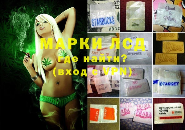 ГАЛЛЮЦИНОГЕННЫЕ ГРИБЫ Арсеньев