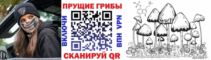 Купить  Теберда  Галлюциногенные грибы прущие грибы 